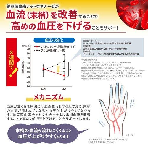 ナットウキナーゼ さらさら粒 約30日分 高めの血圧対策 サプリ ( 60粒