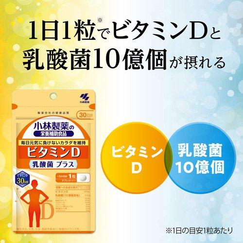 ビタミンD 乳酸菌プラス 約30日分 毎日元気に負けないカラダを維持