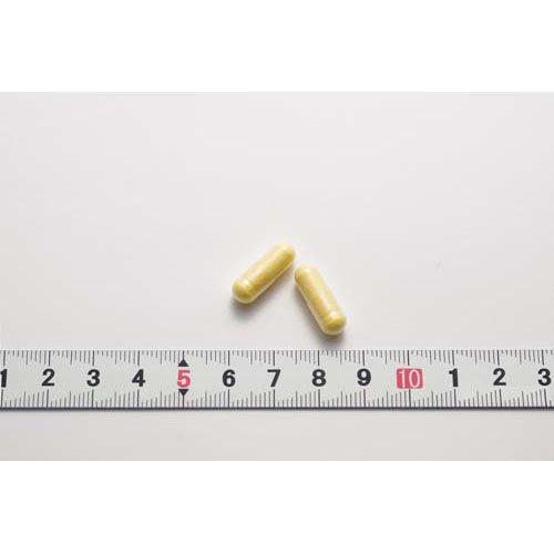 コエンザイムQ10 α-リポ酸L-カルニチン 約30日分 ( 60粒入 )/ 小林製薬