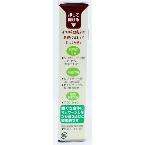 第3類医薬品 小林製薬 生葉 口内塗薬 20g 生葉 4987072074244