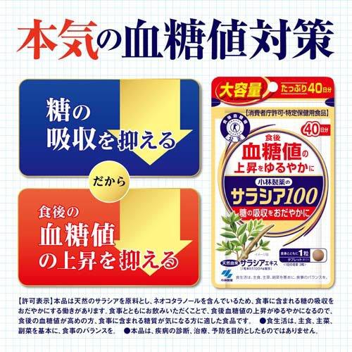 サラシア100 約40日分 食後の血糖値の上昇をゆるやかに ( 120粒入り