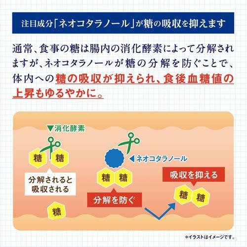 サラシア100 約40日分 食後の血糖値の上昇をゆるやかに ( 120粒入り
