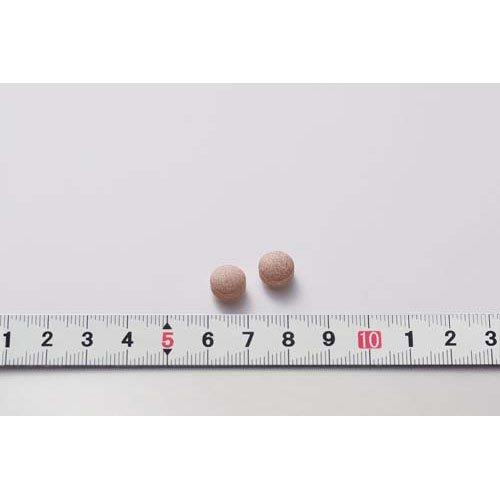 サラシア100 プレミアム ( 120粒入り )/ 小林製薬の機能性表示食品