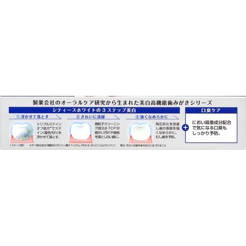シエラ ミクスティカ エクストラホワイトソーン アガベ チタノタ シエラミクスティカ 'Lightly White Thorn Selection