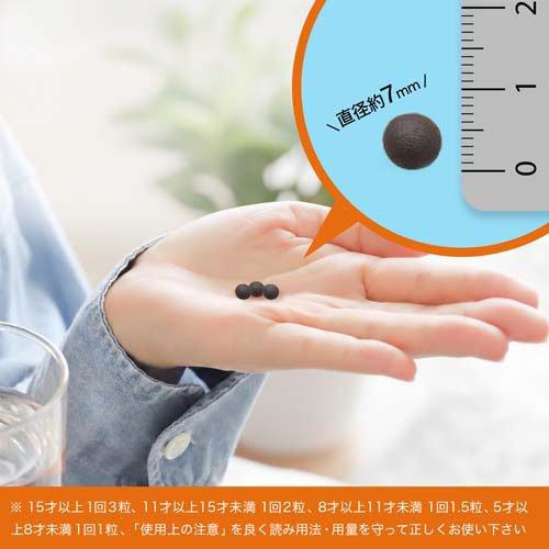 第2類医薬品)正露丸 ( 100粒 )/ 正露丸 : 爽快ドラッグ - 通販 - Yahoo