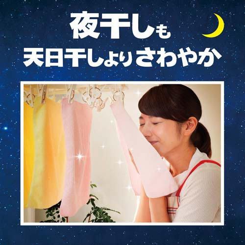 レノア 超消臭1WEEK 柔軟剤 夜干し用 アクアナイトシャボン 本体 レノア 超消臭1WEEK 柔軟剤 夜干し用 アクアナイトシャボン 本体