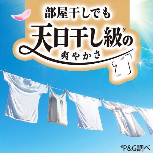 ボールド 柔軟剤入り 洗濯洗剤 液体 爽やかおひさまとフレッシュサボン