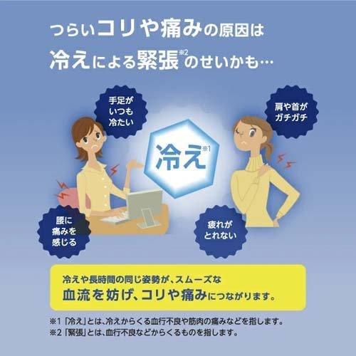 久光 温熱用具 直貼 肩・首用 Sサイズ ( 12枚入 )/ Hisamitsu