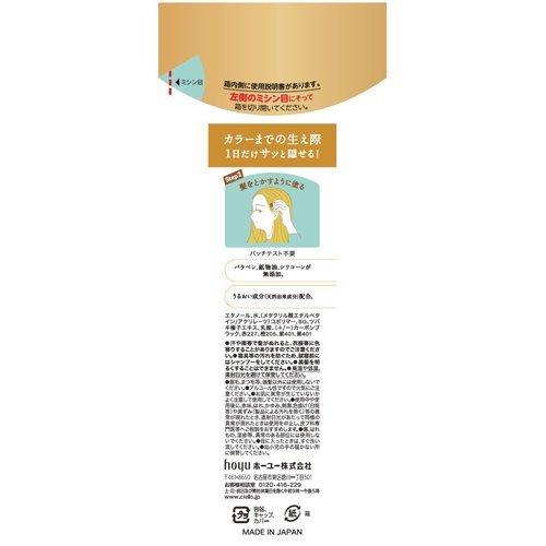 シエロ ワンデー白髪かくし ライトブラウン ( 9ml )/ シエロ(CIELO