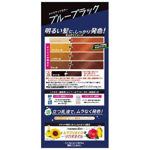 ビューティーン メイクアップカラー ブルーブラック ( 1セット