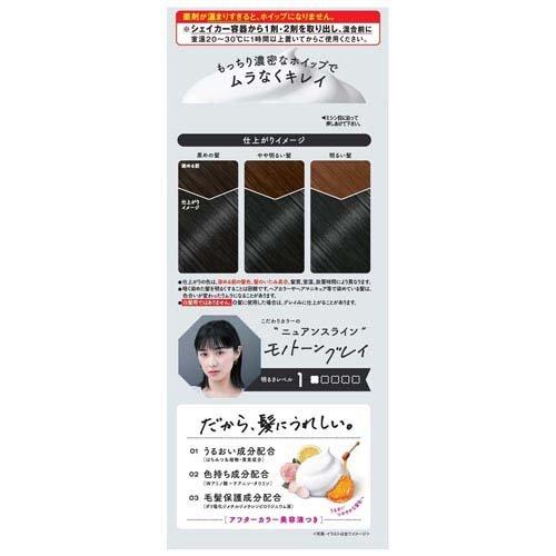 ビューティラボ ホイップヘアカラー モノトーングレイ ( 1セット