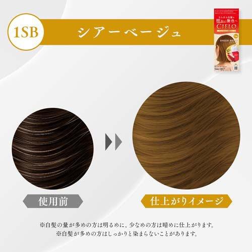 シエロ ヘアカラーEXクリーム 1SB シア―ベージュ ( 1セット )/ シエロ