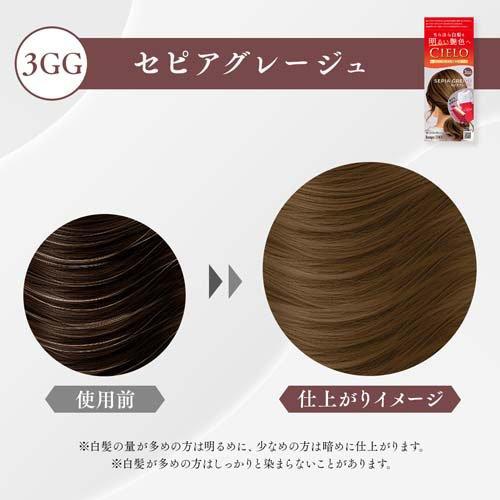 シエロ ヘアカラーEXクリーム 3GG セピアグレージュ ( 1セット