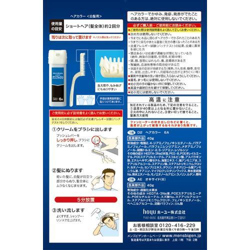 メンズビゲン ワンプッシュ アッシュブラウン 6A ( 1セット