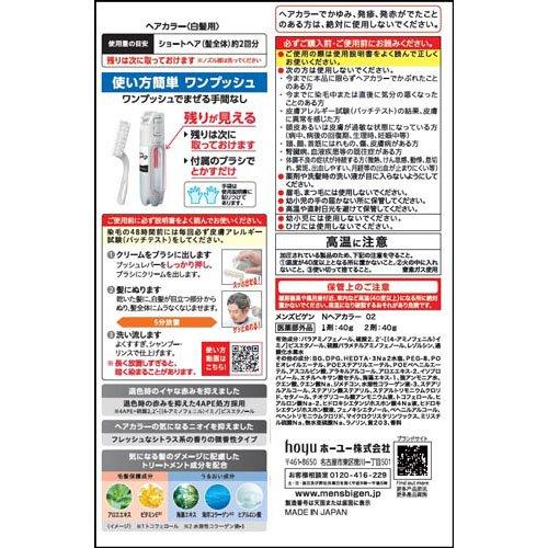 メンズビゲン グレーヘア ナチュラルグレー ( 1セット )/ : 爽快