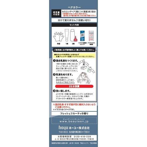 ビューティーン メイクアップカラー メタリックアッシュ ( 1セット