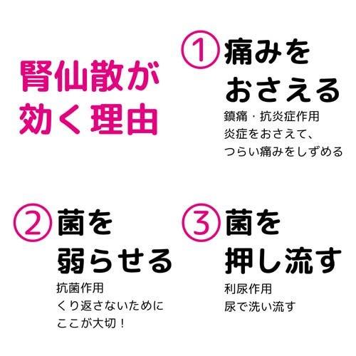 第2類医薬品)腎仙散 ( 12包 )/ 腎仙散 4日分 膀胱炎 むくみ 抗菌 第2類医薬品)腎仙散 ( 12包 )/ 腎仙散 4日分 膀胱炎 むくみ 抗菌