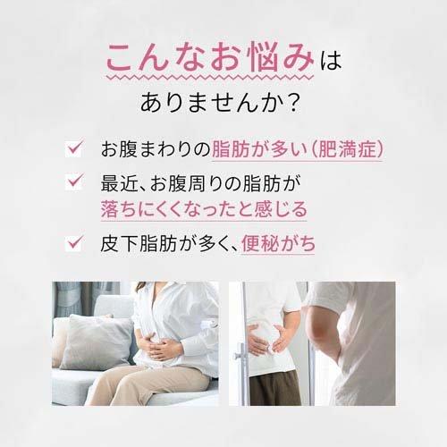 第2類医薬品)和漢箋 新・ロート防風通聖散錠ZII ( 50錠(セルフ 第2類医薬品)和漢箋 新・ロート防風通聖散錠ZII ( 50錠(セルフ
