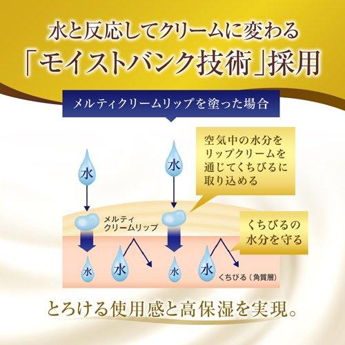 レア 限定 新品 メルティクリームリップ 8本 61KmHVtuv2L._UF350,350_QL80_.jpg