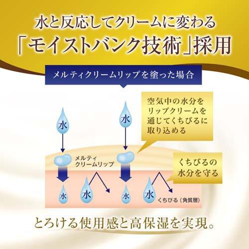 メンソレータム プレミアム メルティクリームリップ 花咲く蜂蜜の香り