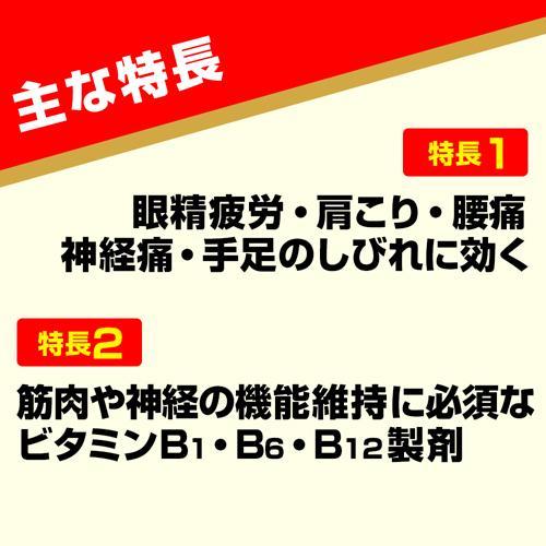 第3類医薬品)エスファイト ゴールド ( 240錠 )/ エスファイト : 爽快