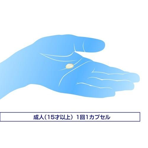 第 2 類医薬品 ドリエルex 6カプセル ドリエル 4987300053508 爽快ドラッグ 通販 Yahoo ショッピング