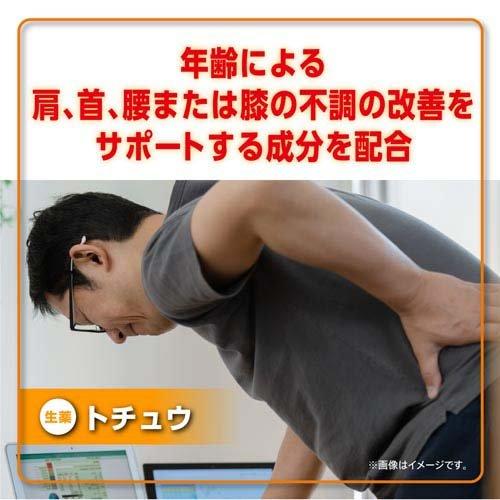リポビタンDX PLUS 90日分 栄養不良に伴う目の疲れ ( 270錠