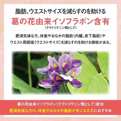 リビタ ファットケア タブレット(粒タイプ) 14日分 ( 42粒 )/ 肥満