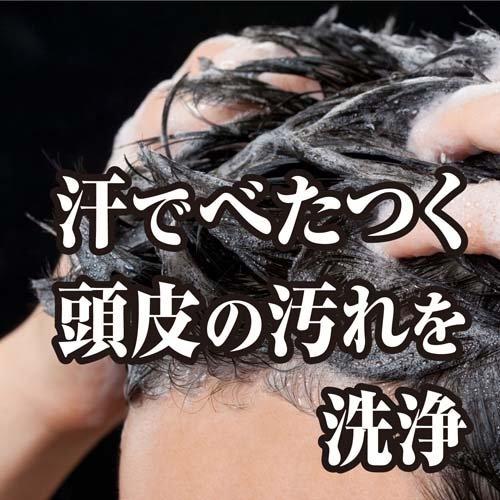 ブラックウルフ ボリュームアップ スカルプ シャンプー ( 380ml