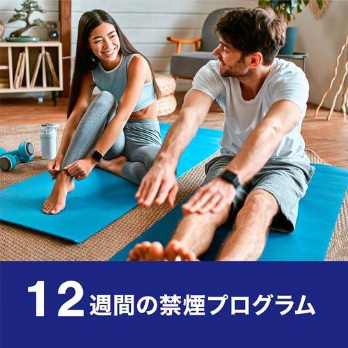 第(2)類医薬品)ニコチネル ミント ( 90コ入(セルフメディ 第(2)類医薬品)ニコチネル ミント ( 90コ入(セルフメディ