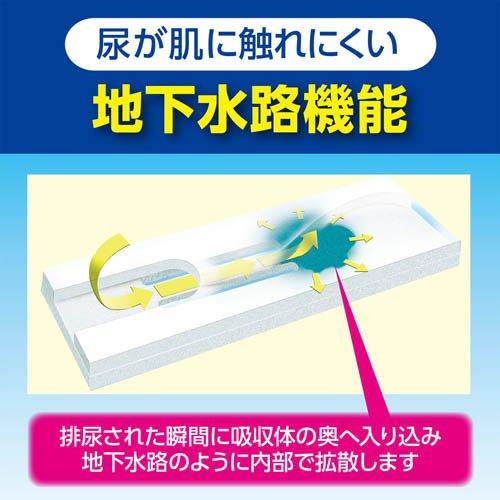 サルバ 朝まで1枚ぐっすりパッド夜用 男女共用 ( 26枚入 )/ : 爽快