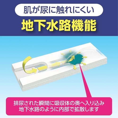 サルバ 業務用 尿とりパッド フレーヌケア デイロング 5回吸収 ( 30枚