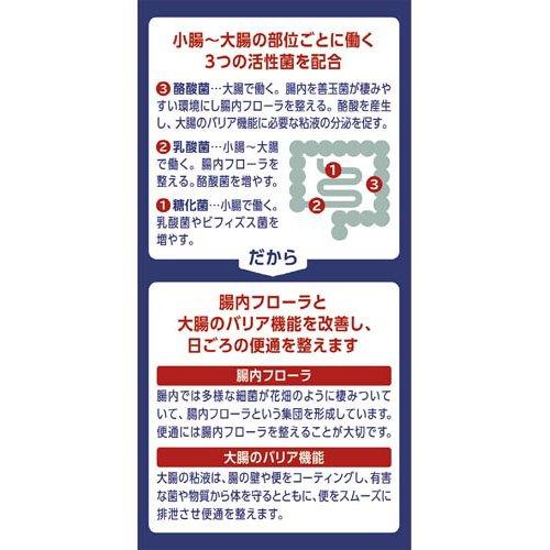 ビオスリー Hi錠 ( 270錠 ) 45日分 酪酸菌 乳酸菌 糖化菌 整腸 ビオスリー Hi錠 ( 270錠 ) 45日分 酪酸菌 乳酸菌 糖化菌 整腸