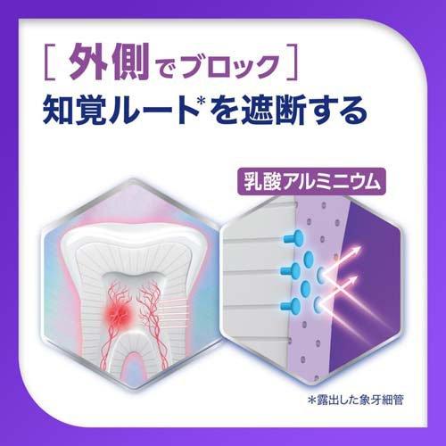 薬用シュミテクト プラチナプロテクトEX クリアシトラス ( 90g
