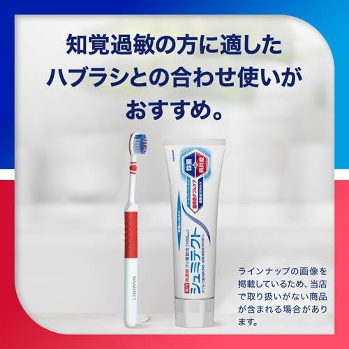 シュミテクト 歯周病ダブルケア クールリフレッシュミント ( 90g