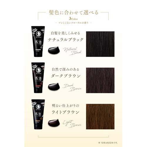 アイメディア プロシア 馬油ヘアカラートリートメント ダークブラウン