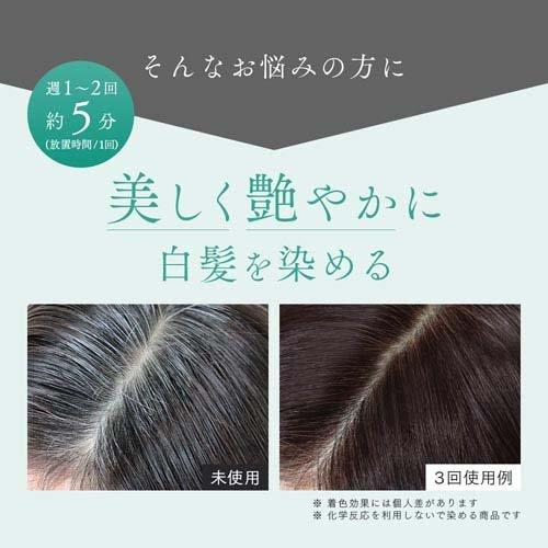 アイメディア プロシア 馬油ヘアカラートリートメント ライトブラウン
