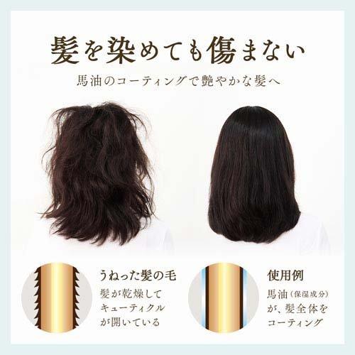 アイメディア プロシア 馬油ヘアカラートリートメント ライトブラウン