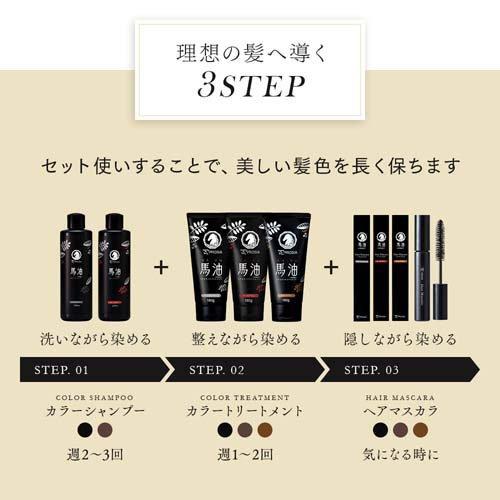プロシア 馬油カラーシャンプー ナチュラルブラック ( 220mL )/ アイ