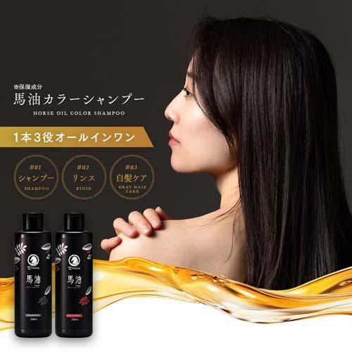 プロシア 馬油カラーシャンプー ダークブラウン ( 220mL )/ アイ