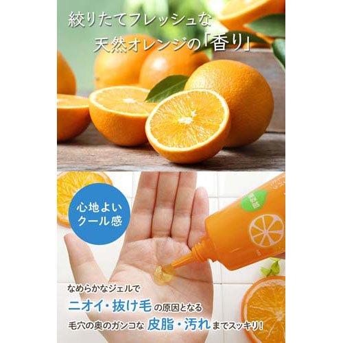 植物生まれのオレンジ地肌クレンジングN ( 130g )/ 植物生まれ 地肌