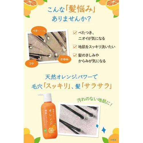 植物生まれのオレンジ地肌シャンプーS つめかえ用 ( 340ml )/ 植物