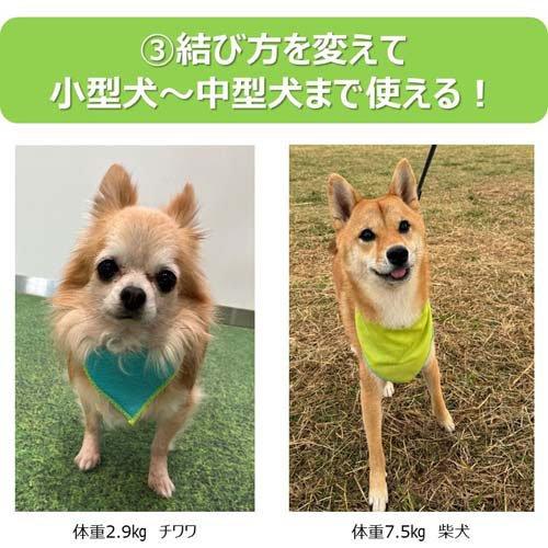 虫よけバンダナ ライム ( 1個 ) : 爽快ドラッグ - 通販 - Yahoo 