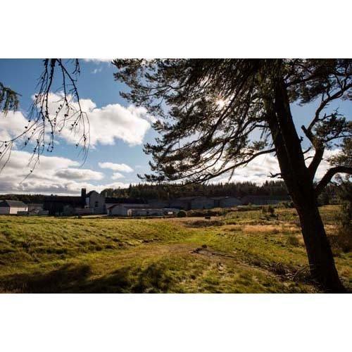 トマーティン 12年 ( 700ml ) : 爽快ドラッグ - 通販 - Yahoo!ショッピング