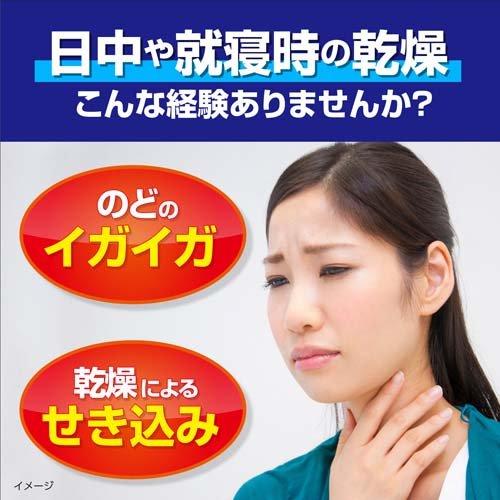 のどぬ〜る ぬれマスク 昼夜兼用 立体タイプ 無香料 ( 3セット入*10箱