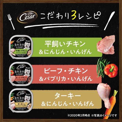 【7種/70個】シーザー　犬用ウェットフード　大容量 シーザー 自然素材 成犬用 チキン＆にんじん・いんげん 無添加