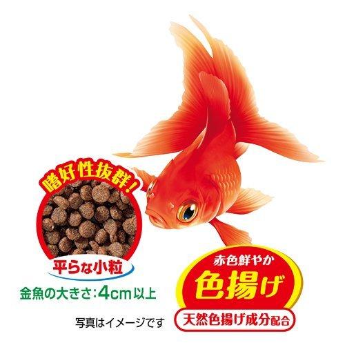 金魚元気 やさしいプロバイオフード 165g 4個セット 金魚元気 爽快ドラッグ 通販 Yahoo ショッピング