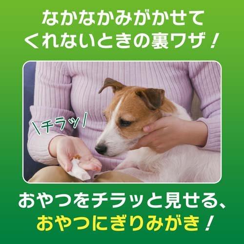 ペットキッス 指サック歯みがきシート アップルの香り ( 12枚入*2袋セット )/ ペットキッス |  | 04