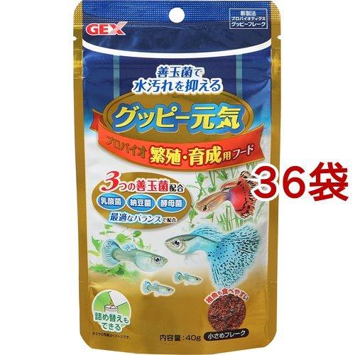グッピー元気 プロバイオ繁殖 育成用フード 40g 36袋セット Gex ジェックス 爽快ドラッグ 通販 Yahoo ショッピング
