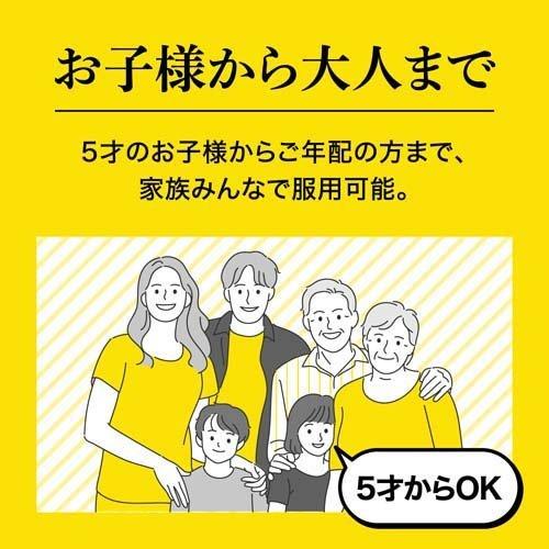 (第2類医薬品)大正漢方胃腸薬錠剤 ( 220錠*2箱セット )/ 大正漢方胃腸薬|soukai|02